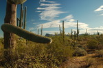 photo thumbnail #5