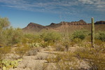 photo thumbnail #1