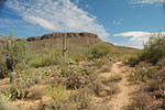 photo thumbnail #2
