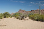 photo thumbnail #3
