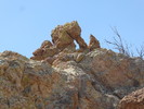 photo thumbnail #11
