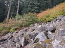 photo thumbnail #6