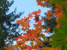photo thumbnail #13