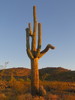 photo thumbnail #2