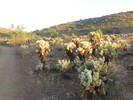 photo thumbnail #5