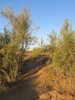 photo thumbnail #9