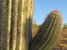 photo thumbnail #12