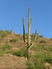 photo thumbnail #14