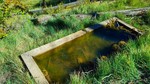 Featured Full Photo