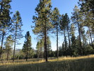 photo thumbnail #15