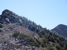 photo thumbnail #10