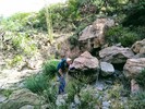 photo thumbnail #8