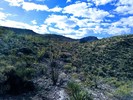 photo thumbnail #11