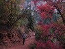 photo thumbnail #6