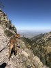 photo thumbnail #3