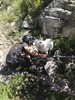 photo thumbnail #10