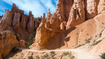 photo thumbnail #9