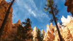 photo thumbnail #13