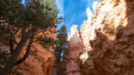photo thumbnail #14