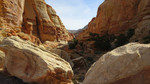 photo thumbnail #12