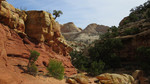 photo thumbnail #13
