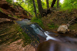 photo thumbnail #2