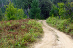photo thumbnail #2