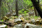 photo thumbnail #12