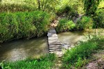 photo thumbnail #4