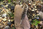 photo thumbnail #9