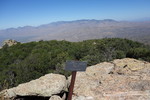 photo thumbnail #6