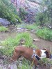 photo thumbnail #4