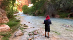 photo thumbnail #8