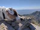 photo thumbnail #2