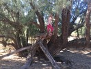 photo thumbnail #3