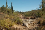 photo thumbnail #2