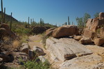 photo thumbnail #3