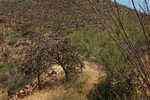 photo thumbnail #4
