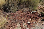 photo thumbnail #10