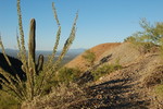 photo thumbnail #6