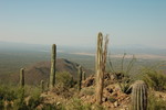photo thumbnail #9