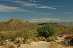 photo thumbnail #12
