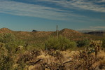 photo thumbnail #13