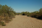 photo thumbnail #2