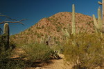 photo thumbnail #4