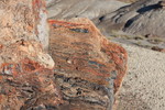 photo thumbnail #8