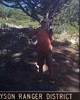 photo thumbnail #15