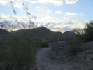 photo thumbnail #3