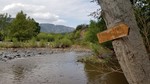 photo thumbnail #15