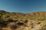 photo thumbnail #7